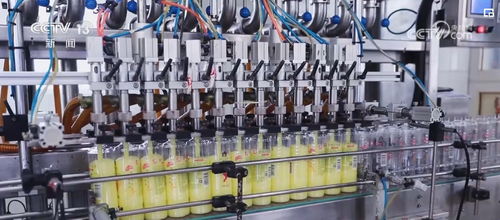 透過數(shù)據(jù)看變化，雙11購物熱彰顯消費(fèi)市場活力與電子商務(wù)服務(wù)提升