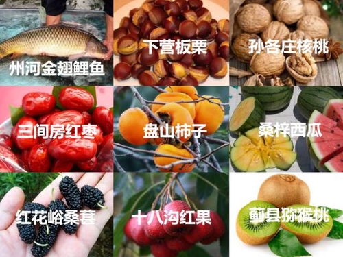 薊州風(fēng)味 農(nóng)副產(chǎn)品零食的質(zhì)樸與創(chuàng)新