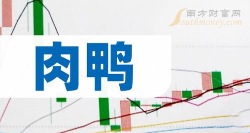 肉鴨概念股盤點 2024年2月8日家禽銷售技術服務企業梳理