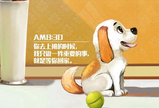 逗愛DogCare 以狗體工程學(xué)為核心，打造100分寵物關(guān)懷體驗